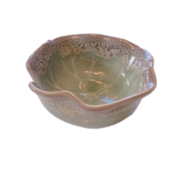 NEW Windowsill SUCCULENT 4" Anthropologie - Picture 6 of 13